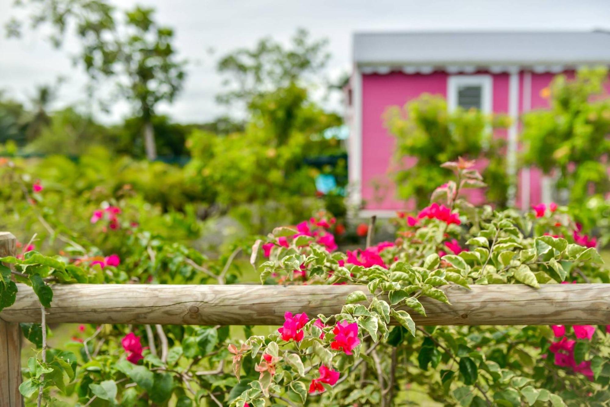 Les Jardins De Chantilly -Bungalows 4 Etoiles Avec Jardins Et Piscines Privees Baie-Mahault Pokój zdjęcie